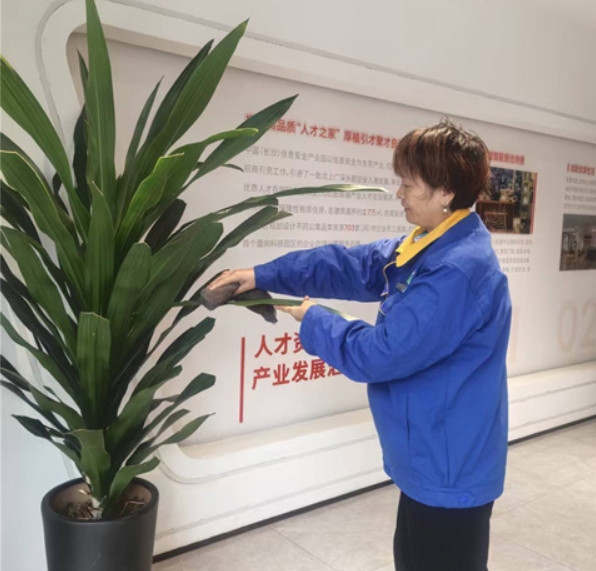 中电软件园日常保洁